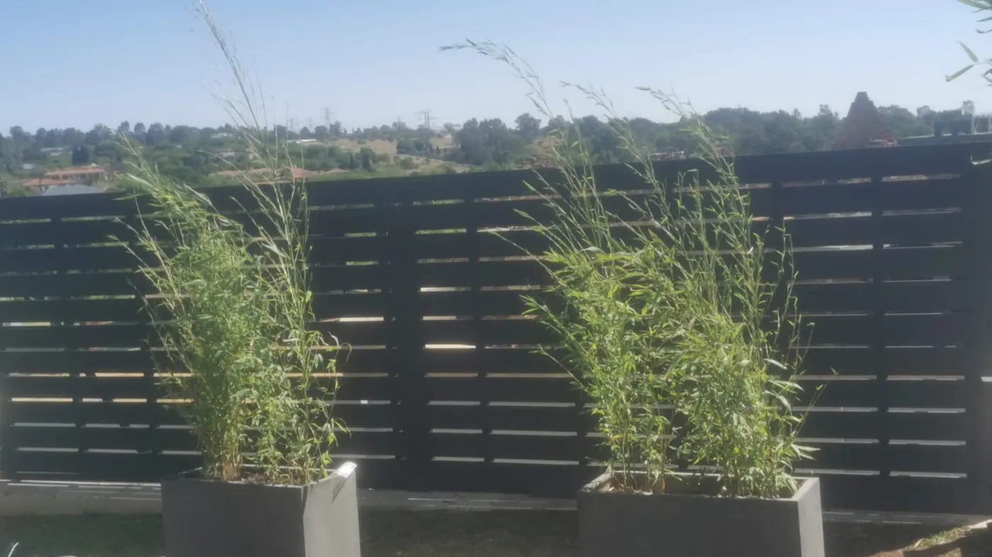 Garden privacy screening